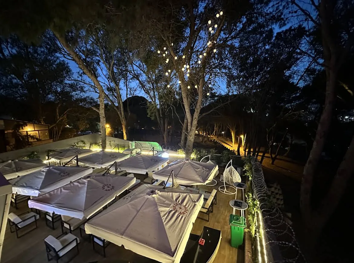 La terrasse de PianoPiano.dz à l’heure bleue, guirlandes lumineuses dans les pins, le parc en contrebas.